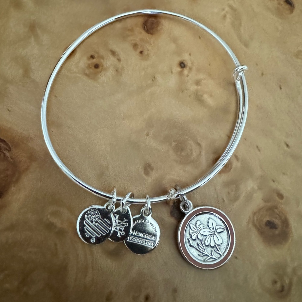 Alex and Ani bracelet